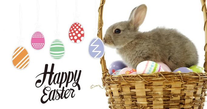 Light-brown rabbit noticing purple hanging egg, lifting ears and exploring beside Happy Easter text