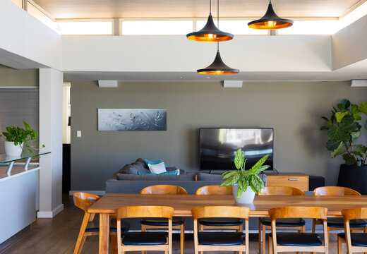 Wooden dining table seating eight with potted centerpiece and three pendant lights lighting lounge