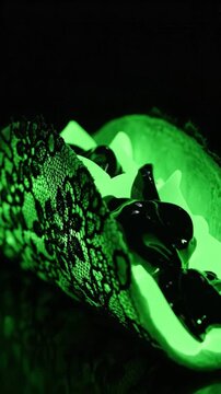 A conceptual taco featuring a black lace shell and glowing green interior with dark fluid. This sensory visual creates a futuristic and artistic mood. Ideal for creative media projects.