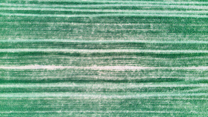 Drone view of cultivated farmland with long parallel rows forming a green striped pattern. Agricultural field texture seen from above, suitable as natural background. © Ekaterina