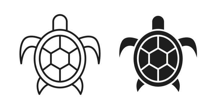 Sea turtle icon. Simple linear element illustration. Thin stroke sign can be used for web, mobile and UI.