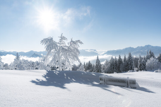 Close-up side view of snow covered Bench in an alpine landscape in winter, Gaisberg, Salzburg, Austria