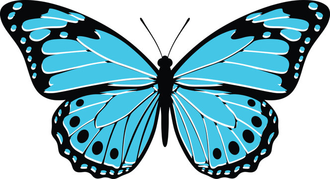 Stylized abstract butterfly illustration with vibrant blue wings, artistic symmetrical design, decorative animal artwork, creative colorful patterns, modern deailed compos