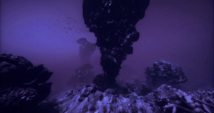 This underwater scene reveals fascinating rock formations and schools of fish swimming amidst coral reefs, showcasing the beauty and diversity of marine ecosystems in muted hues.
