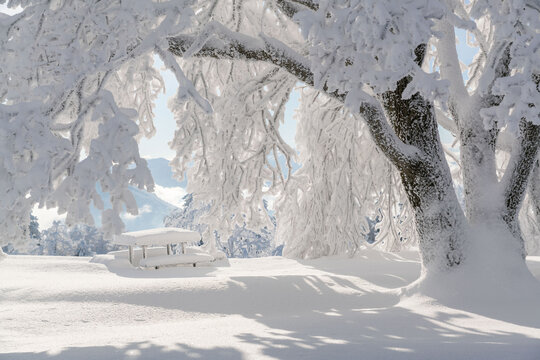 Bench and table covered in deep snow in winter, Gaisberg, Salzburg, Austria
