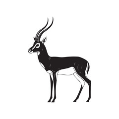 A close-up of an antelope with long horns © SI