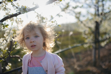 Small toddler girl standing outdoors in orchard.
