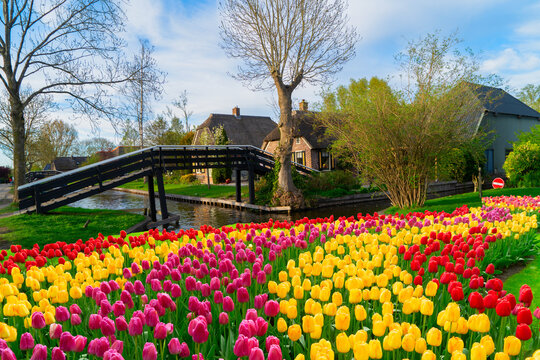 skyline of old town Giethoorn