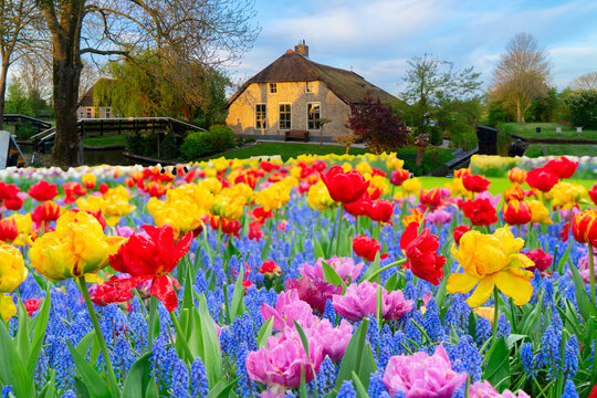 skyline of old town Giethoorn