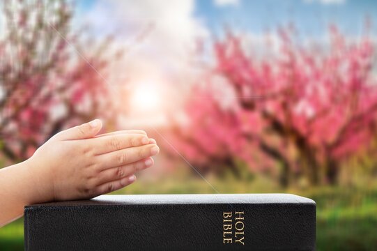 Christian person hands hold Holy Bible book