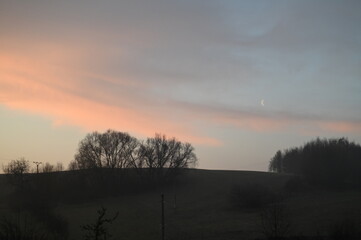 Obraz premium Red sunset glowing through a forest landscape, creating dramatic light between trees and warm evening colors.