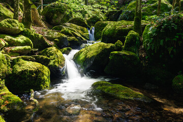 Fototapeta premium Gertelbach Waterfall with moos and green forest nationalpark Blackforest schwarzwald