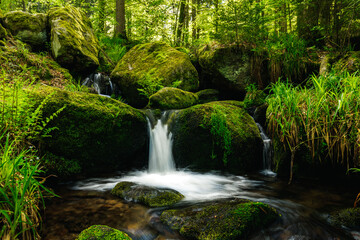 Fototapeta premium Gertelbach Waterfall with moos and green forest nationalpark Blackforest schwarzwald