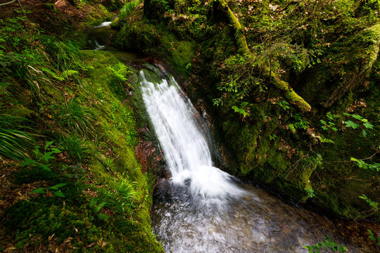 Edelfrauengrab waterfall river flow water stream waterfall fall Nationalpark blackforest Schwarzwald Germany