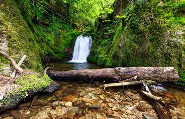 Fototapeta premium Edelfrauengrab waterfall river flow water stream waterfall fall Nationalpark blackforest Schwarzwald Germany
