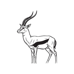 A drawing of an antelope with long horns © SI