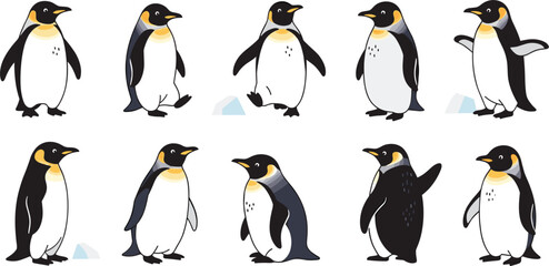 Cute emperor penguin vector character sheet featuring various poses including walking, waving, and standing on ice isolated on white background for winter Antarctic and wildlife design. © Hosneara