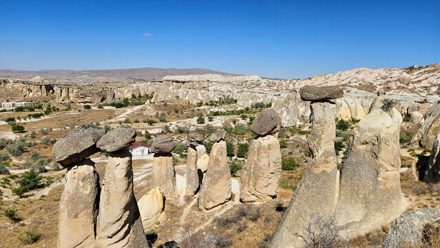 Dense Fairy Chimney Valley Under Clear Sky, Hundreds Of Basalt Capped Pillars Clustered Across Arid Plateau, Walking Paths And Outlooks, Distant