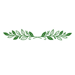 Obraz premium Green botanical leaf flourish divider