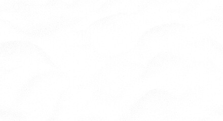 Obraz premium Abstract white texture background with subtle lines