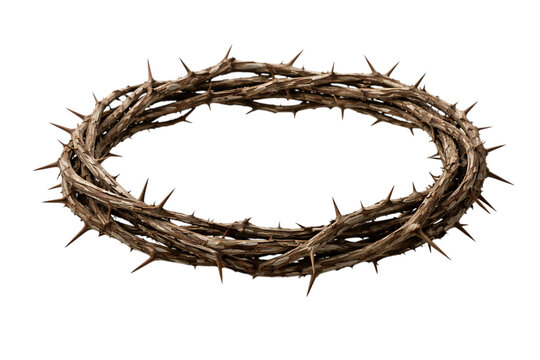 Natural thorn crown representing pain sacrifice and suffering of jesus christ remembered during good friday sacred christian spiritual faith symbol isolated on a transparent background