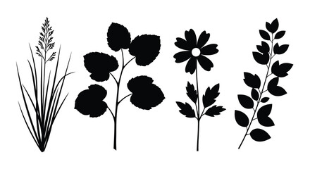 A striking black and white illustration showcases various plant silhouettes including grasses leafy stems and blossoming flowers high quality © Asikder02
