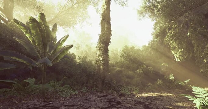 Lush greenery fills a peaceful tropical forest as sunlight pierces through the trees, creating a serene atmosphere. The vibrant plants thrive in this natural habitat, showcasing rich biodiversity.