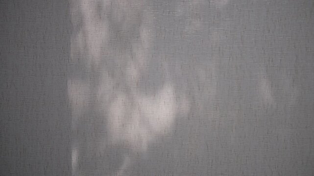 Blurred shadows on white gray beige. Sunlight, motion,overlay shadow on the wall, office. Minimal style, copy space, template. Delicate aesthetic. Video transition. Presentation, multiple exposure