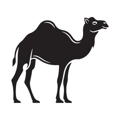 A cat wearing a tie is sleeping on a couch © SI