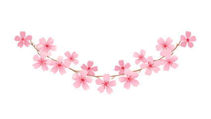 Fototapeta premium Cherry blossom floral garland decorative divider