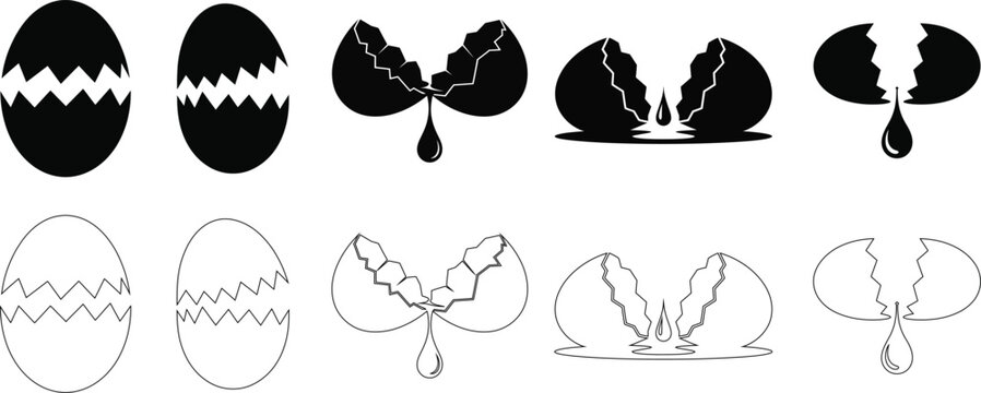 The life cycle of an egg from formation to hatching