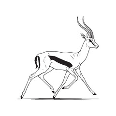 A drawing of an antelope with long horns © SI