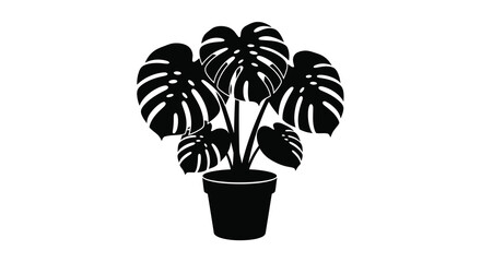 A striking black and white silhouette depicts a lush monstera plant thriving within a simple dark pot high quality © Tushar02