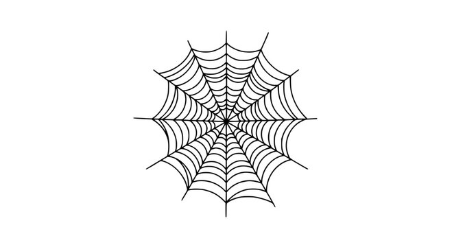 Spider web with intricate black lines and symmetrical pattern on white background featuring spiderweb, illustration,