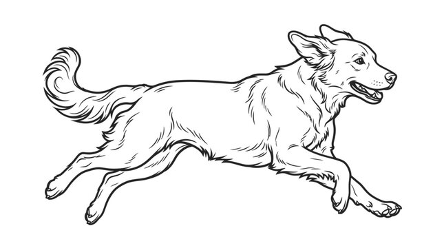 Dog Running Fast on the Ground.