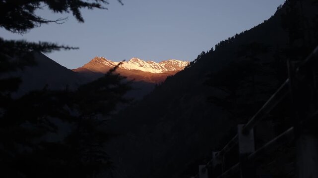 Golden alpenglow at sunset over snow-capped Himalayan peaks, framed by dark pine silhouettes and mountain valley in Himachal Pradesh, India