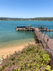 Fototapeta premium Knysna Featherbed nature reserve. 09.12.2024. A vibrant coastal scene unfolds with a wooden pier extending into calm, clear waters, bordered by a sandy beach and blooming vegetation