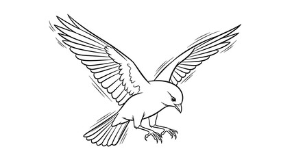 Obraz premium Black and white of bird in flight isolated on a transparent background