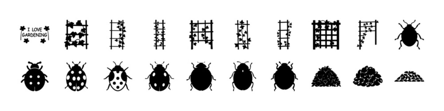 Beetle and Insect Silhouette Icon Set - Black silhouette icon collection featuring various beetles, bugs, and insect shapes for biology, pest control, and nature themed designs.