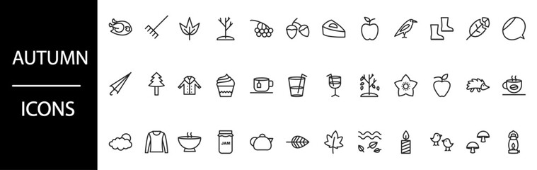 Minimalist black and white autumn season line art icons set © Posh Pallete