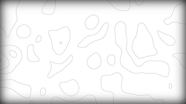 Abstract animation of topographic map contour lines on white background, seamless loop 4K video for motion graphics, architectural visualization and modern tech background design elements