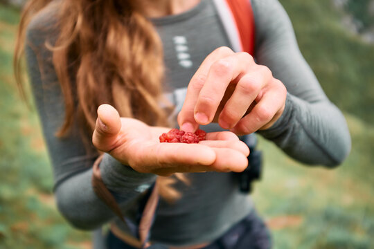 Una ragazza tiene dei frutti di bosco nelle mani durante un'escursione nella natura.