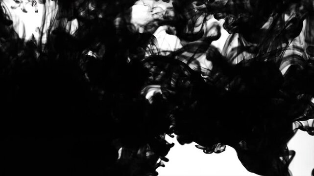 Black smoke rising fast Smoke fades in front of white background