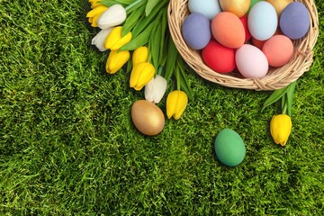 Fototapeta premium Beautiful colorful Easter eggs on green grass