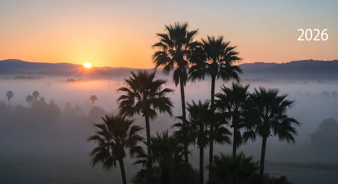 Dramatic sunrise over misty palm forest with golden glow and futuristic 2026 timestamp