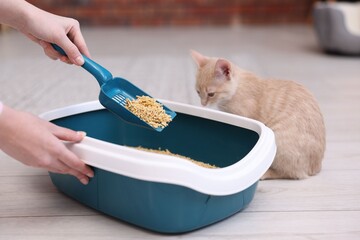 Woman with scoop cleaning litter tray near cat on floor indoors, closeup