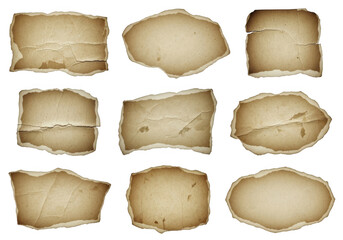 Collection of aged and weathered parchment paper pieces with varying shapes and sizes