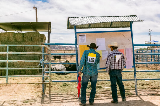 Navajo Nation, USA.  Navajo Nation Fair. - Rodeo participants reviewing event board at western rodeo arena