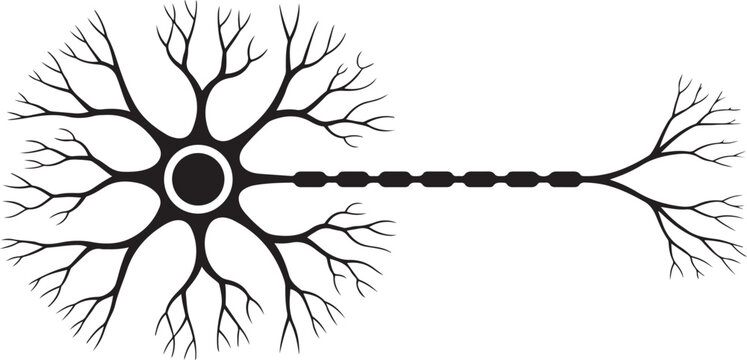 Brain neuron symbol. Human neuron cell sign. Synapses, myelin sheat, cell body, nucleus, axon. black icon drawing vector