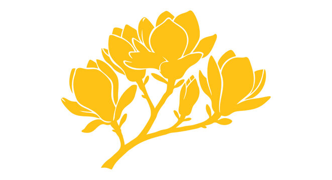 Yellow magnolia flower branch vector illustration